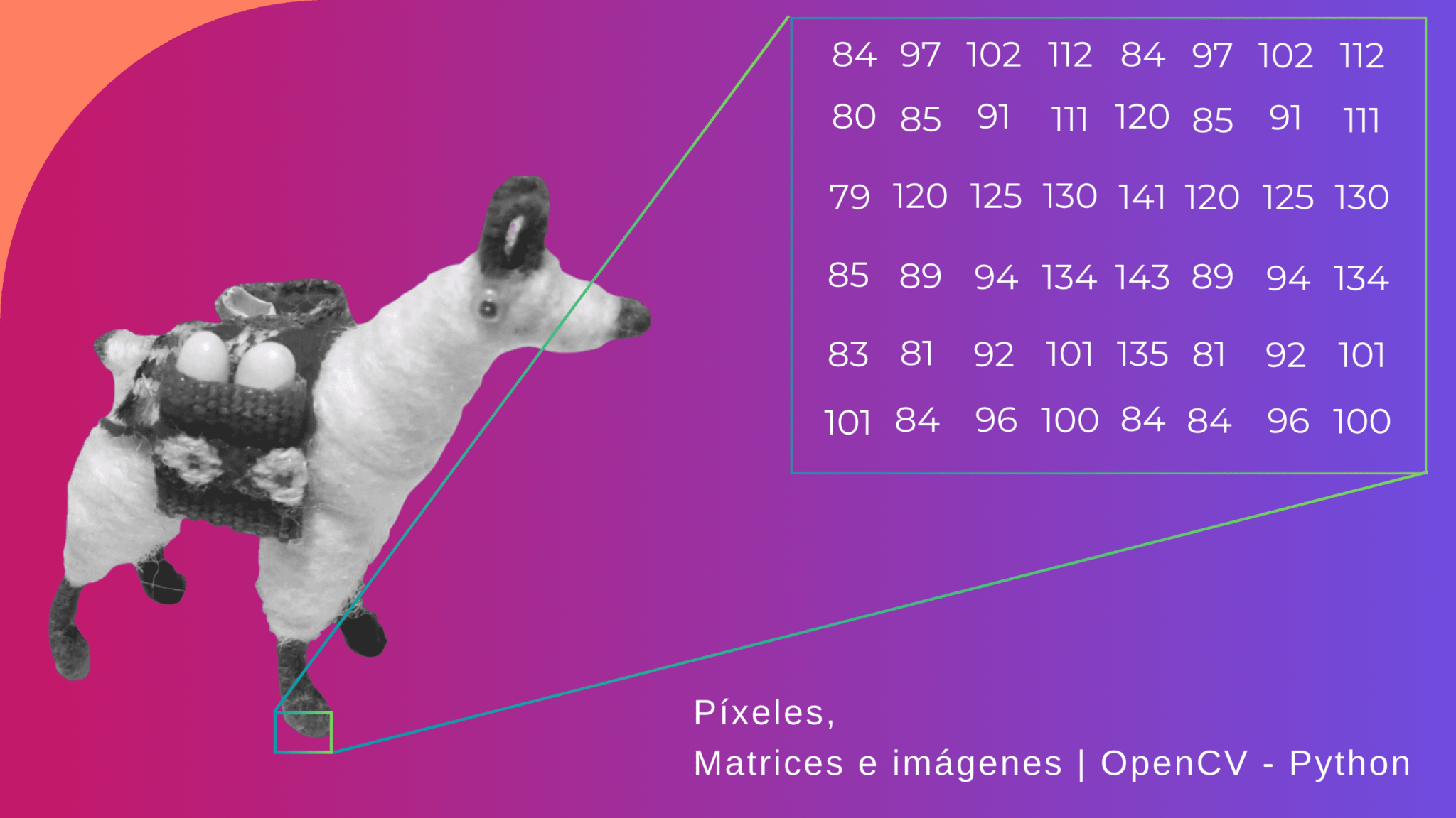 Píxeles matrices e imágenes con python y openCV Kipuna Ec